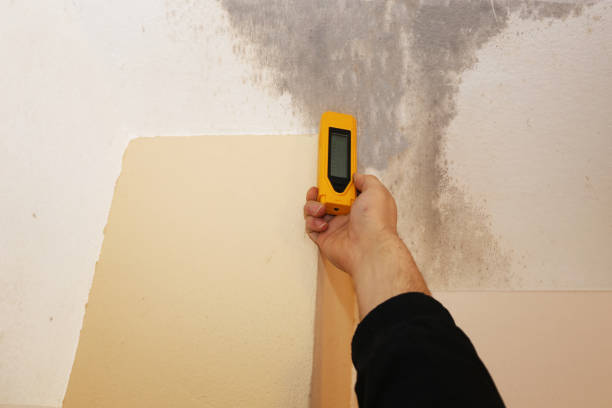 Best Mold Remediation for Healthcare Facilities  in Lexington, SC
