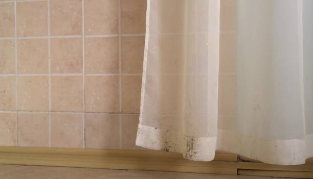 Best Mold Prevention Services  in Lexington, SC