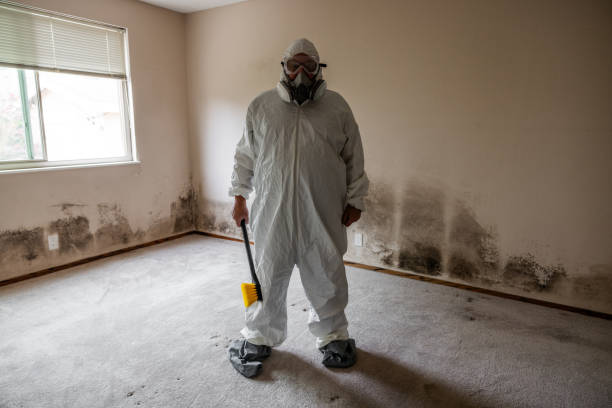 Lexington, SC Mold Removal Company
